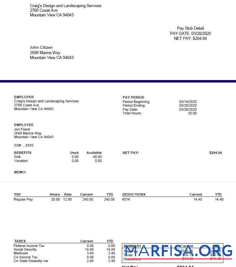 Blank Craig's Design and Landscapin Services pay stub example